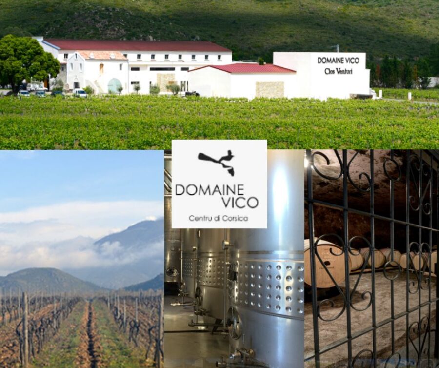 Domaine Vico: chai et vignobles