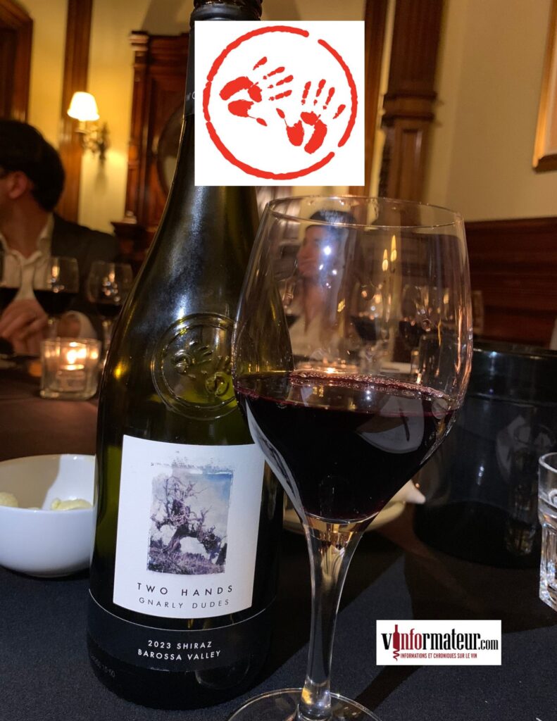 Gnarly Dudes, Shiraz, Two Hands Wines, Picture Series, vin rouge, McLaren Vale, Australie Méridionale, 2023 bouteille