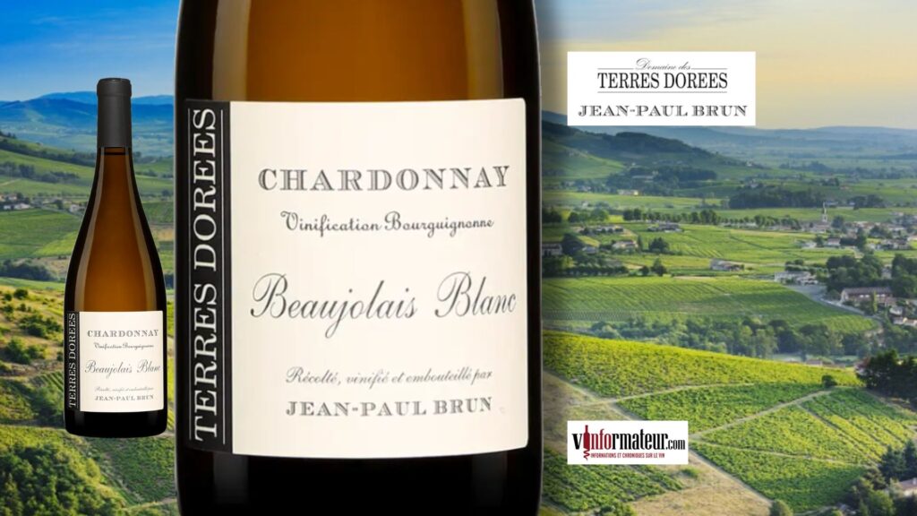 Un rare Beaujolais Blanc 2022 de Jean-Paul Brun, Domaine des Terres Dorées.
