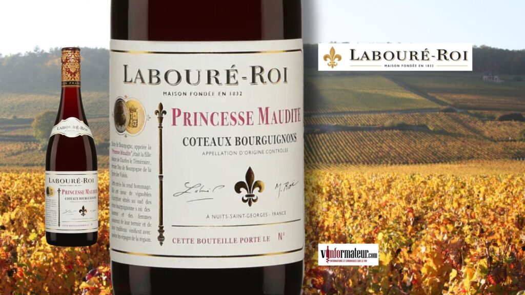 Gamay, Labouré-Roi La Princesse Maudite, Coteaux Bourguignons, 2022. Du fruit, du fruit, du fruit!