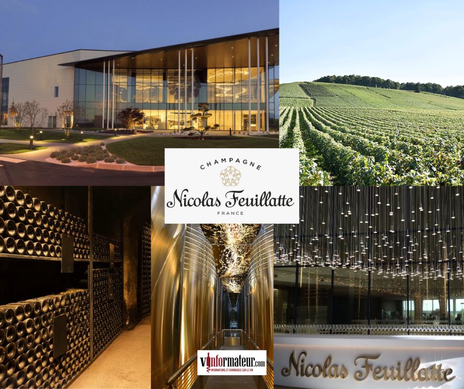 Groupe Terroirs et Vignerons de Champagne: chai et vignobles