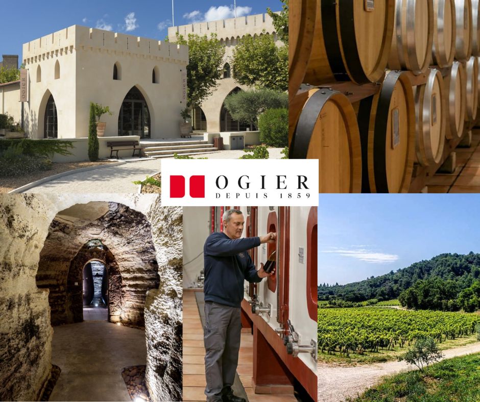 Ogier: boutique, chai et vignobles