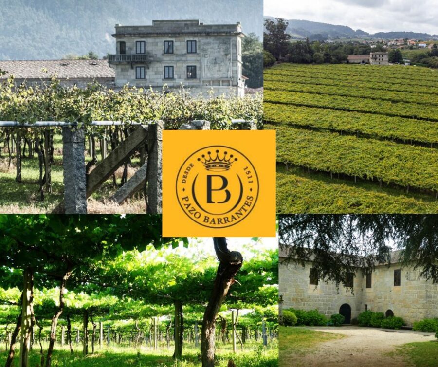 Pazo Barrantes: chai et vignobles