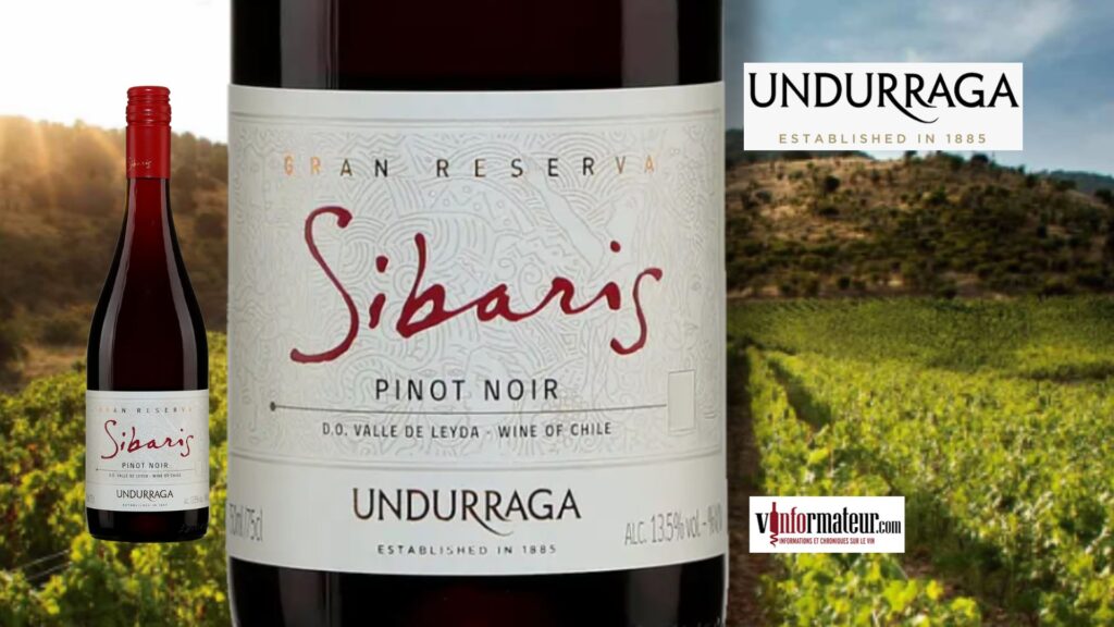 Sibaris Pinot Noir Gran Reserva 2023 : Le Chili à prix doux.