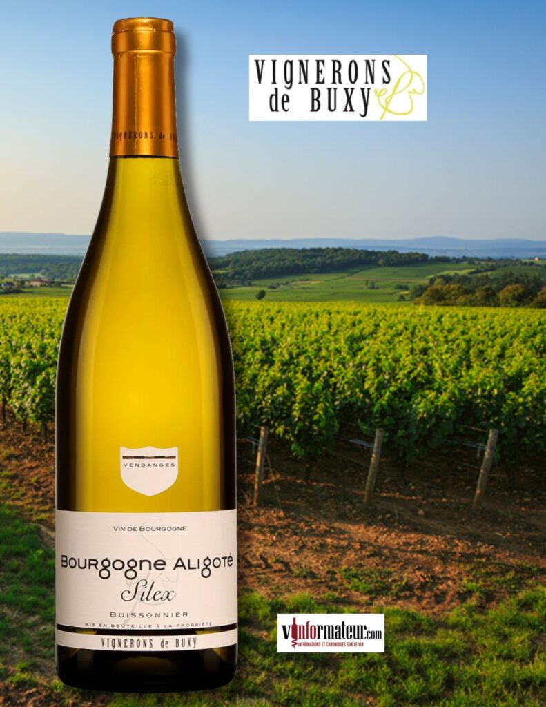 Bourgogne Aligoté, Silex, Vignerons de Buxy, vin blanc, 2023 bouteille
