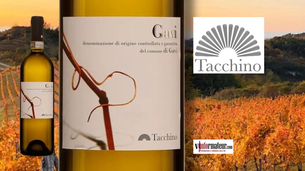 Gavi DOCG, Tacchino 2023 : Un Vin Blanc coup de cœur du Piémont!