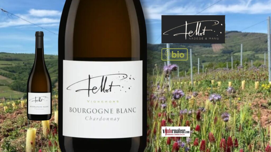 Chardonnay, Bourgogne blanc (Beaujolais), Domaine Emmanuel Fellot, vin blanc bio, 2023 bouteille