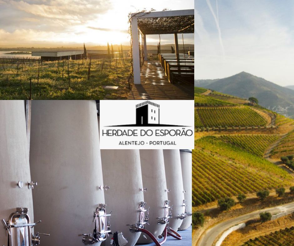 Herdade di Esporao: chai et vignobles