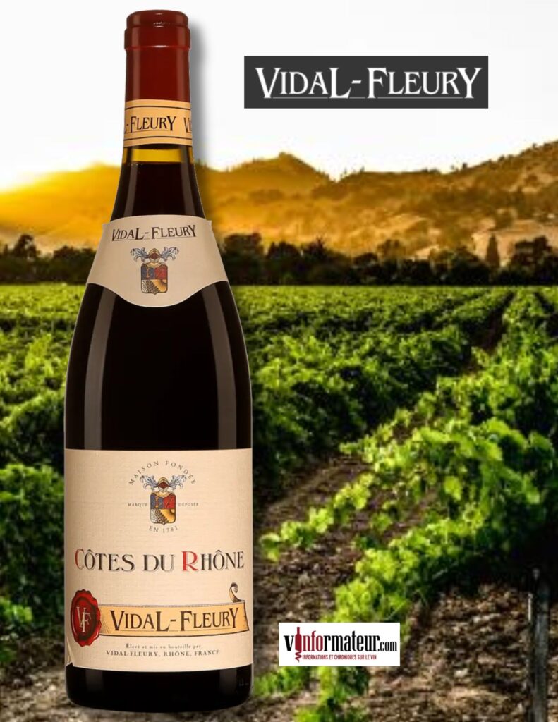 Vidal-Fleury, Côtes du Rhône, vin rouge, 2021 bouteille