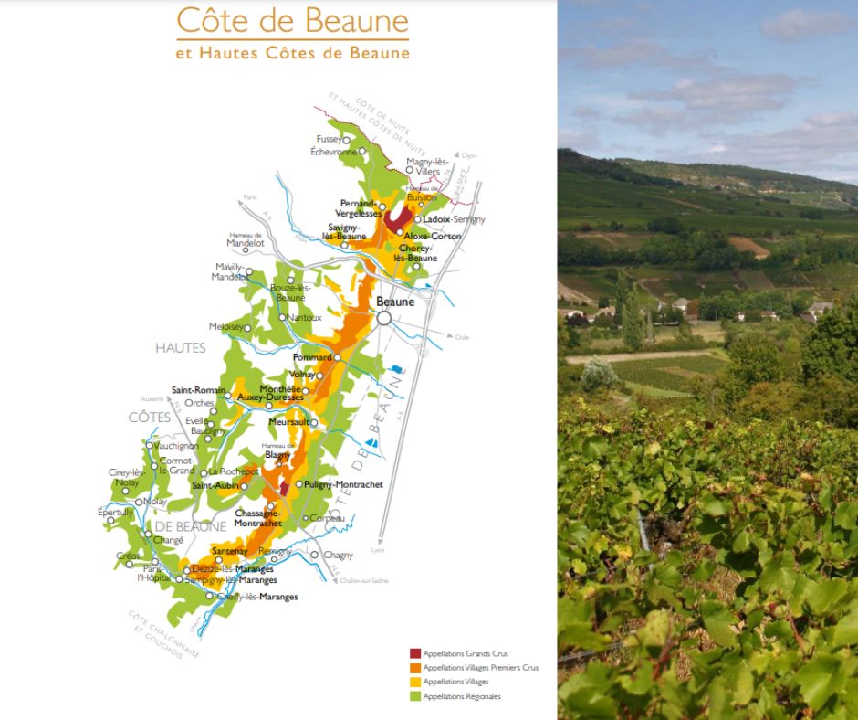Carte viticole Bourgogne Côte de Beaune