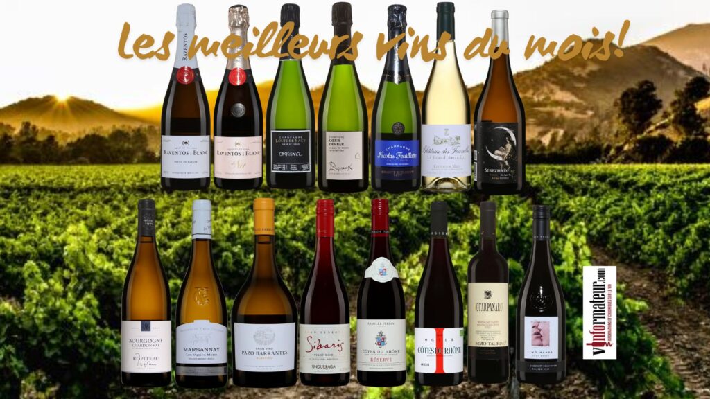 Les meilleurs vins du mois