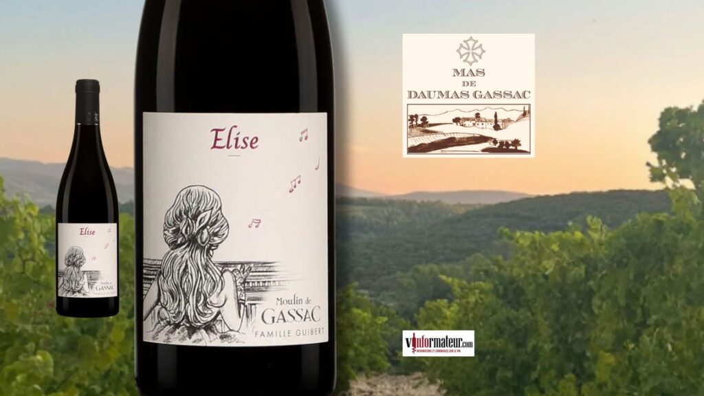 Moulin de Gassac cuvée Élise 2023 : une valeur sûre du Languedoc à découvrir