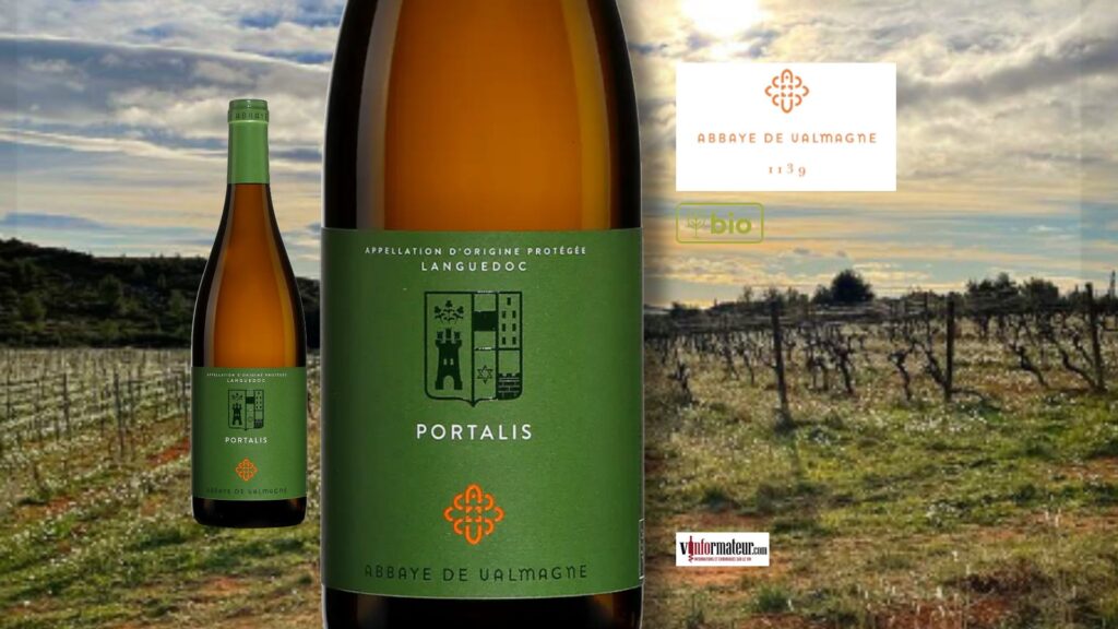 Portalis, vin blanc bio, 2023. Une valeur sûre du Languedoc!