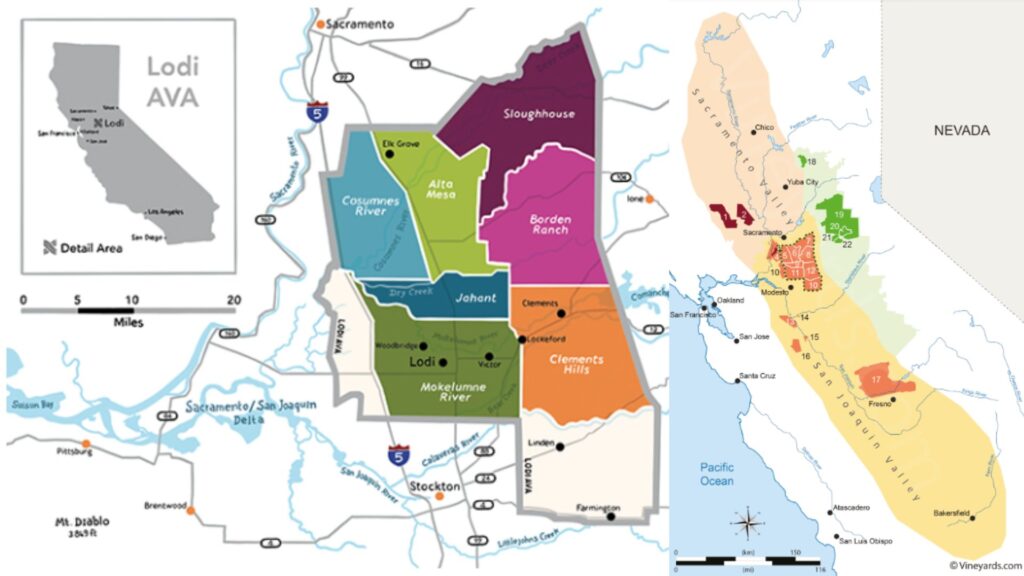 Carte viticole Vallée de San Joaquin, Lodi