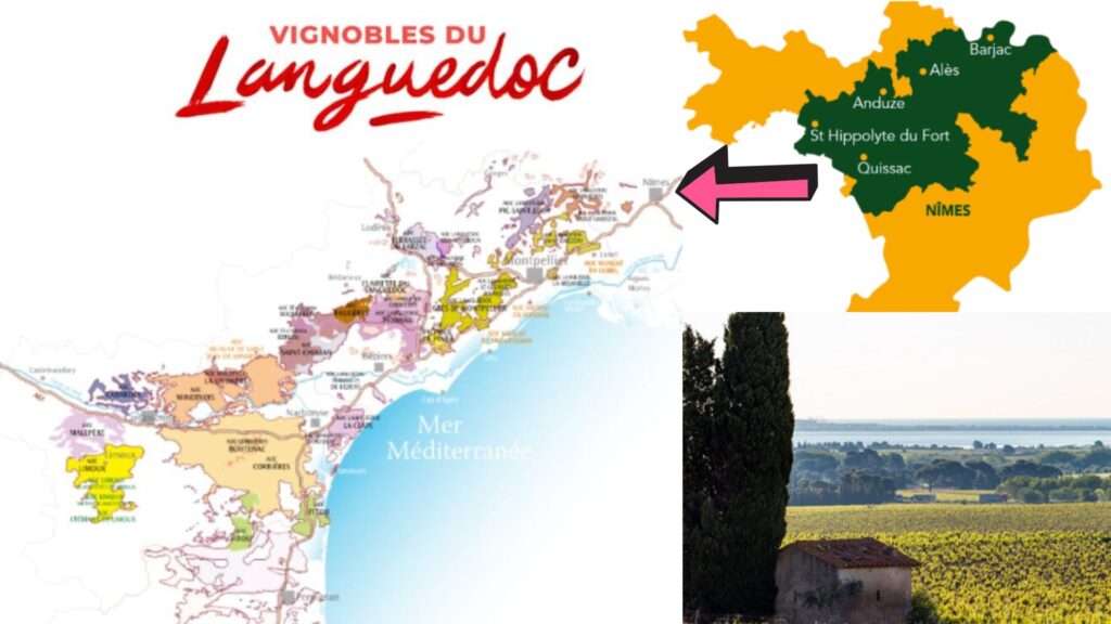 Carte viticole Languedoc AOP