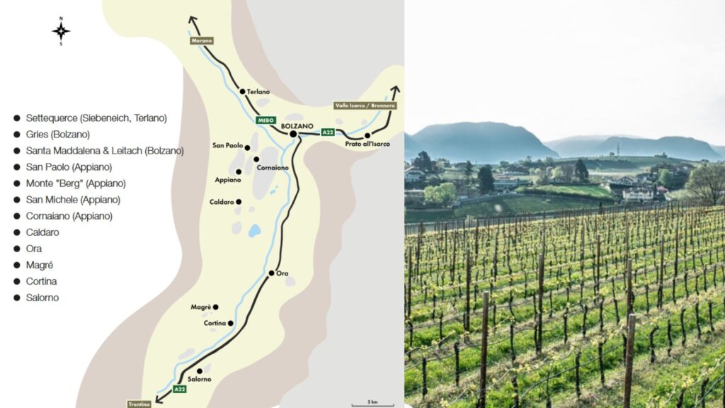 Carte viticole Alto Adige DOC