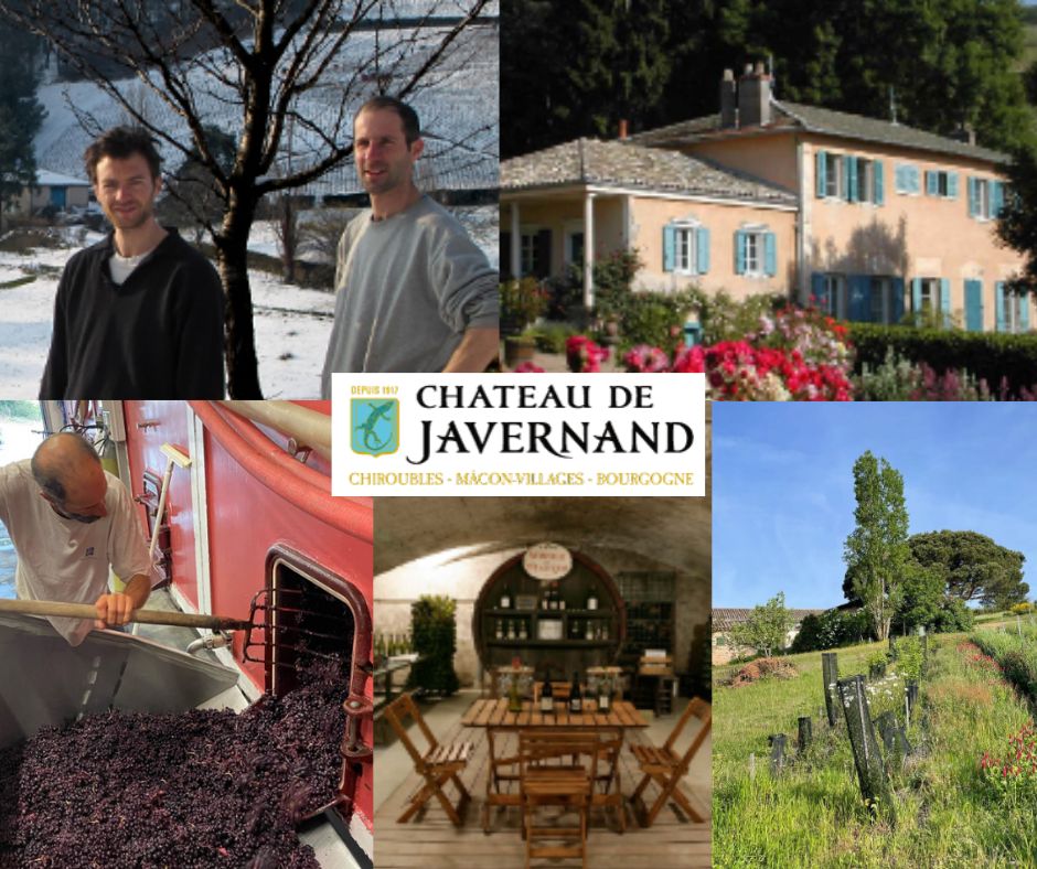 Château de Javernand: Pierre Prost, Arthur Fourneau, chai, salle de dégustation, vignobles.
