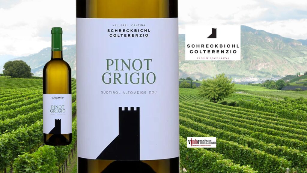 Pinot Grigio 2023 de Cantina Colterenzio: fraîcheur et tension remarquables d’Alto Adige.