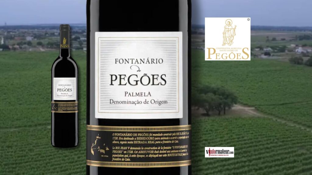 Fontanario de Pegoes, Péninsule de Setubal, Palmela, vin rouge, 2023 bouteille