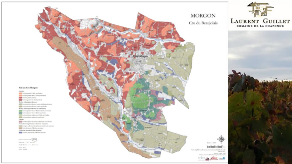 Carte viticole cru Morgon, Beaujolais