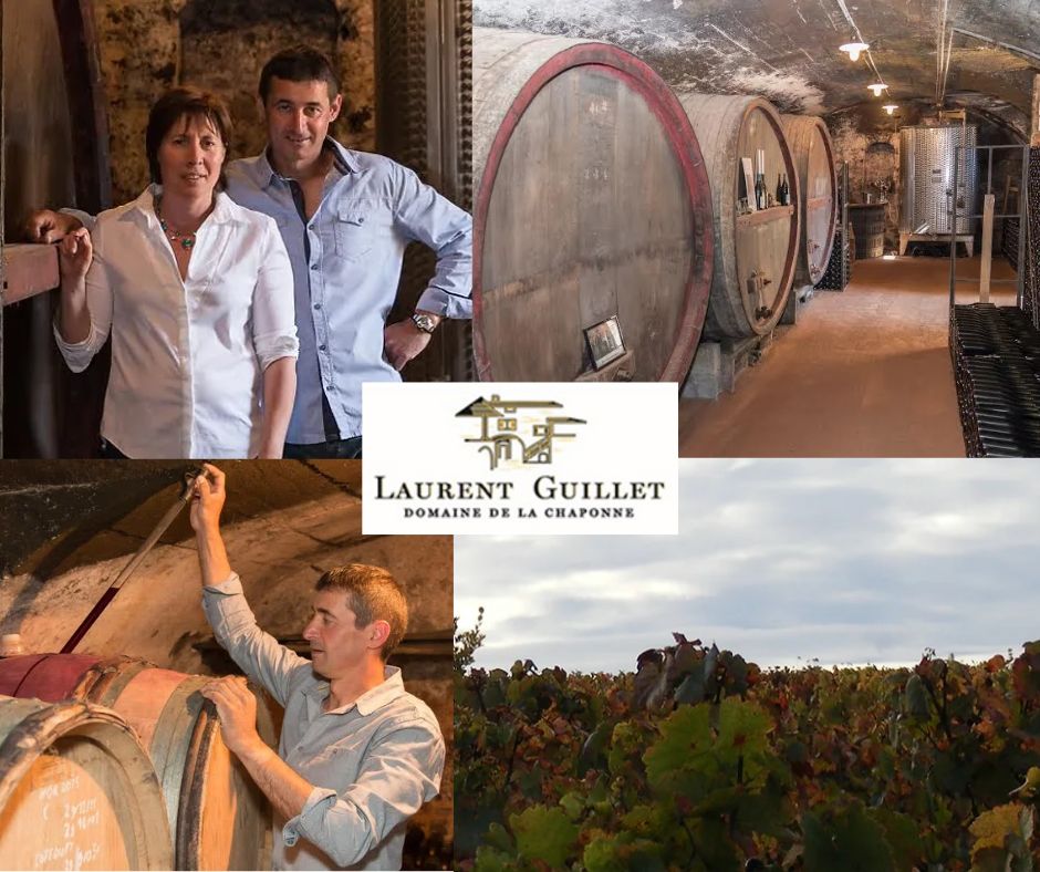 Domaine de la Chaponne: Laurent et Laurence Guillet, chai et vignobles