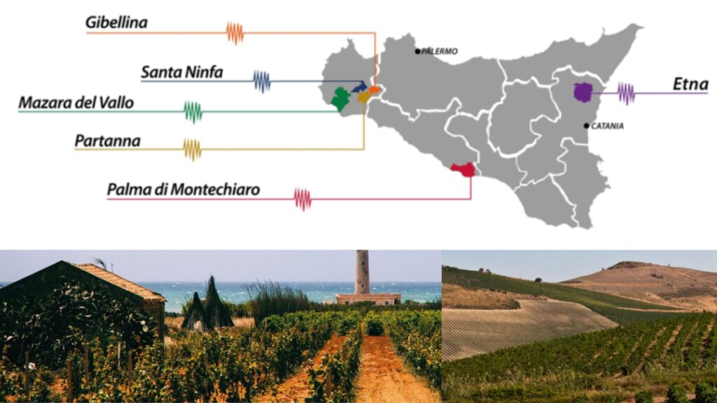 Carte viticole Sicile