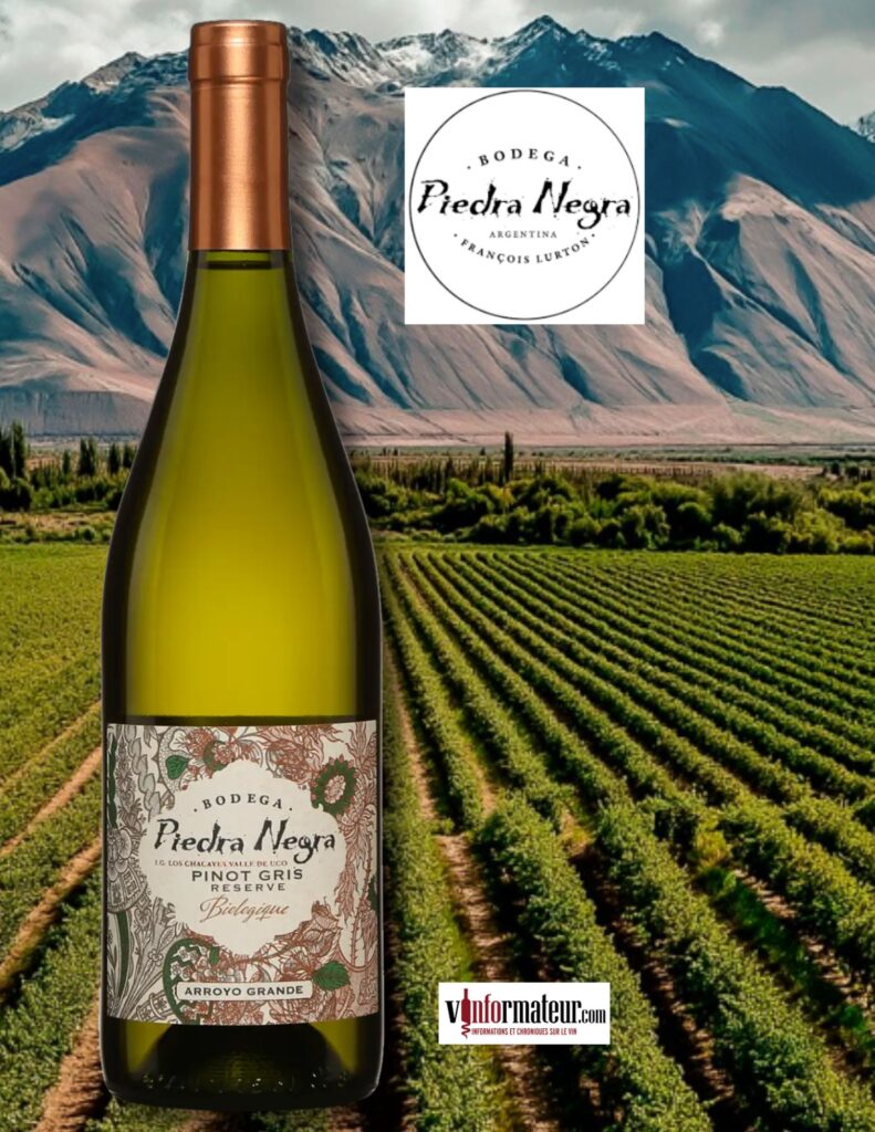 Bodega Piedra Negra, Arroyo Grande, Pinot Gris Reserva Los Chacayes, Argentine Mendoza, Valle de Uco , 2023 bouteille