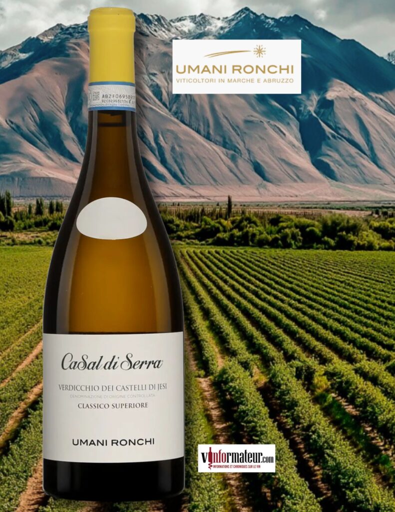 Casal di Serra, Verdicchio dei Castelli di Jesi, Umani Ronchi, Italie, Marches, 2023 bouteille