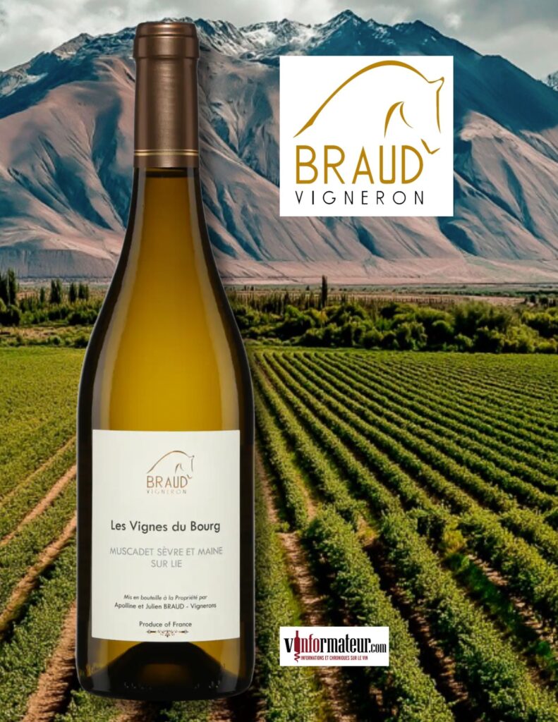 Domaine Julien Braud, Les Vignes du Bourg, France, Vallée de la Loire,Muscadet Sèvre et Maine sur lie, 2023 bouteille
