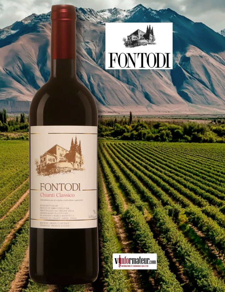 Fontodi Chianti Classico, Italie, Toscane, Azienda Agricola Fontodi di Giovanni E, 2021 bouteille