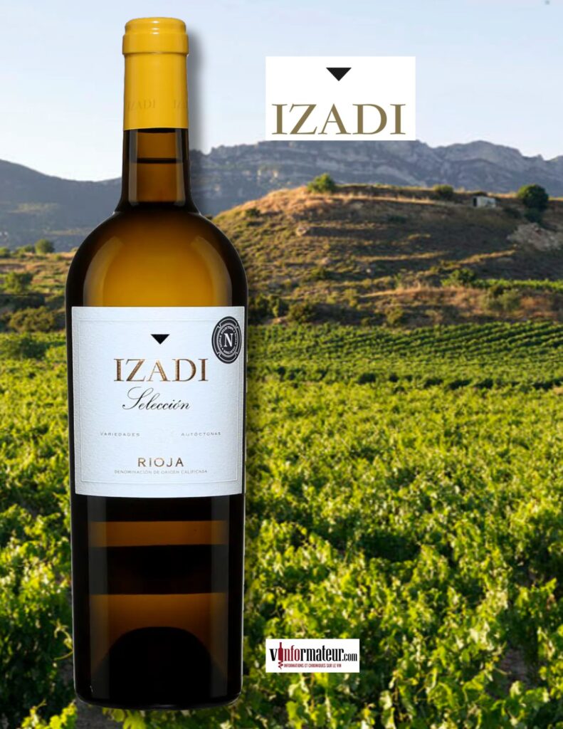 Izadi, Espagne, Rioja, Blanco, 2023 bouteille
