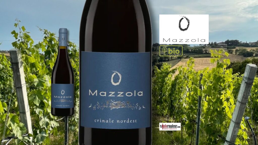Cantina Mazzola, Crinale Nordest, Lacrima, Marche Rosso, 2023. Bio, Floral et élégant.