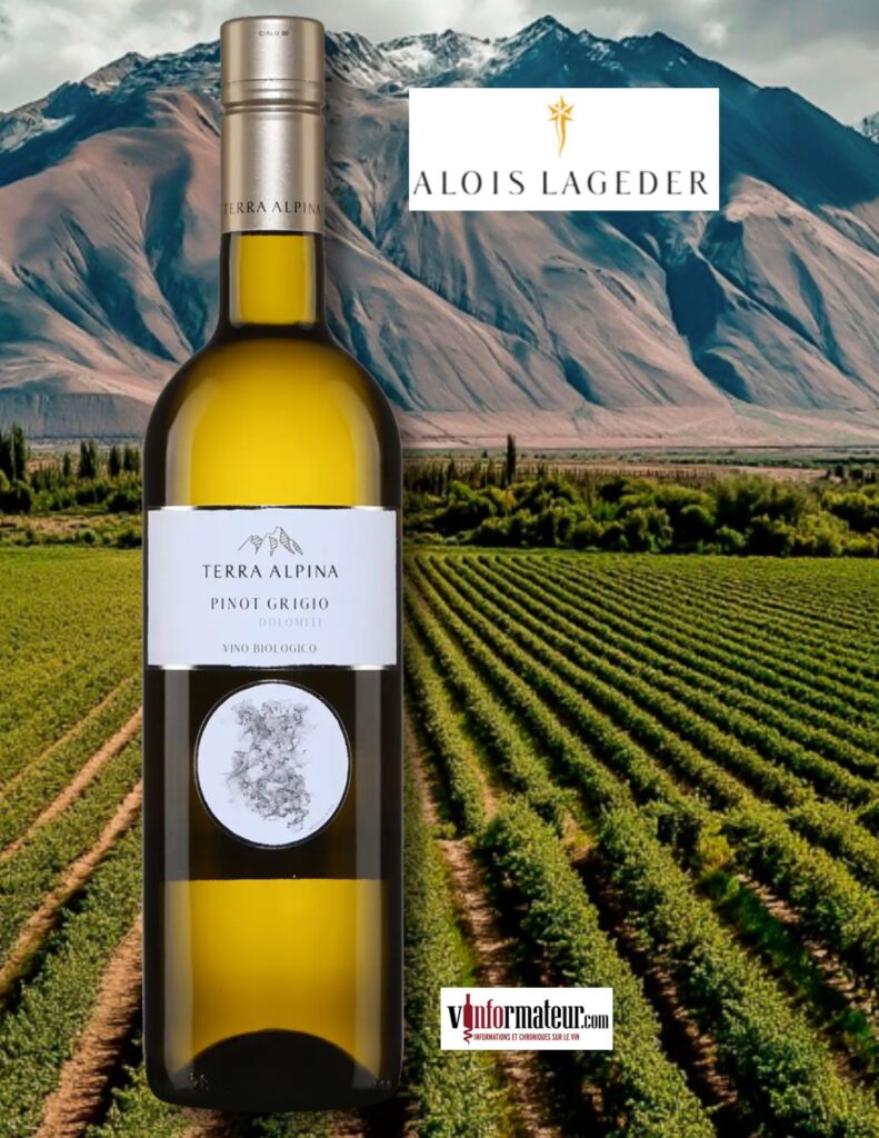 Terra Alpina, Pinot Grigio Dolomiti, Alois Lageder, Italie, Trentin Haut-Adige, Vigneti delle Dolomiti, 2023 bouteille