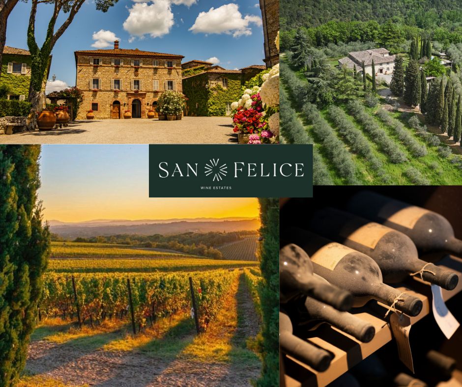 San Felice: chai et vignobles