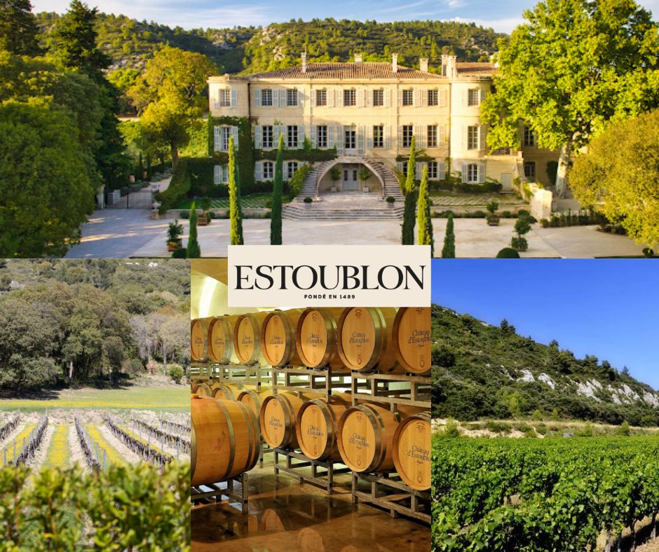 Château d'Estoublon: château, chai et vignobles