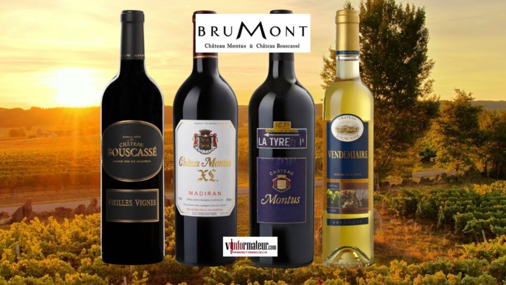 Vins d'Alain Brumont disponible en importation privée (agence Mark Anthony) bouteilles
