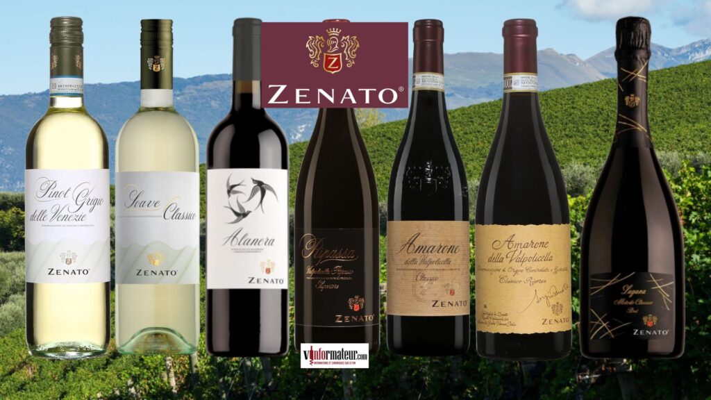 Les vins de la maison Zenato : « L’âme de Lugana et le cœur de la Valpolicella »
