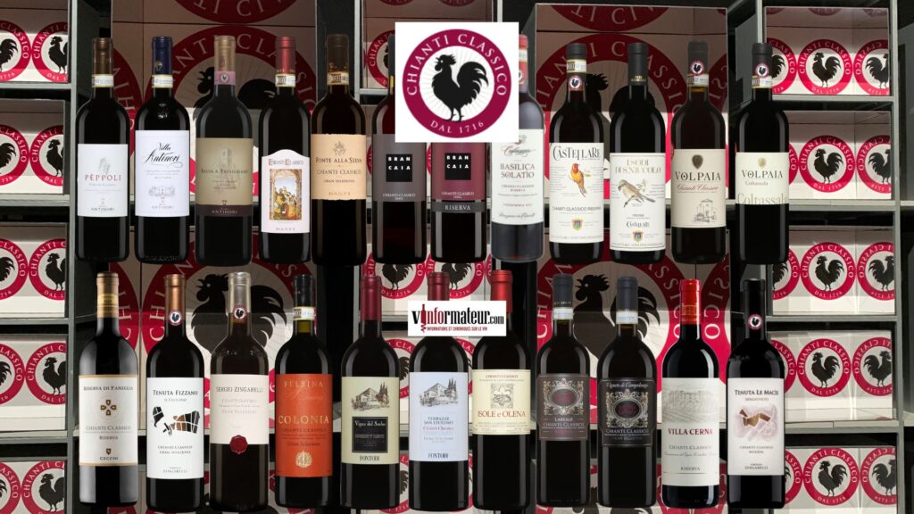 40 meilleurs vins dégustés à l'Anteprima di Toscana - Chianti Classico Collection bouteilles