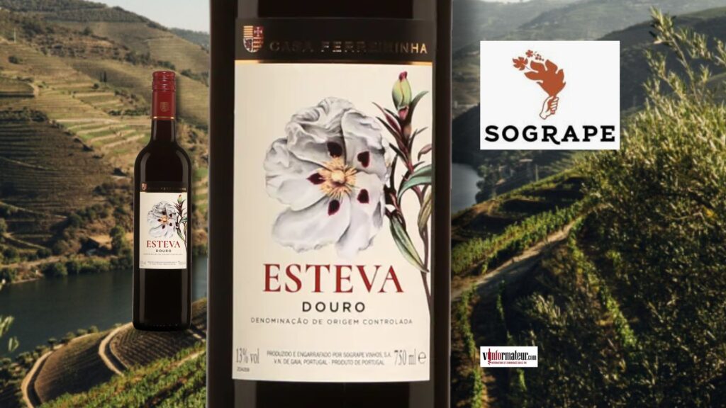 Esteva Douro 2021 – Un vin rouge du Portugal polyvalent et abordable.