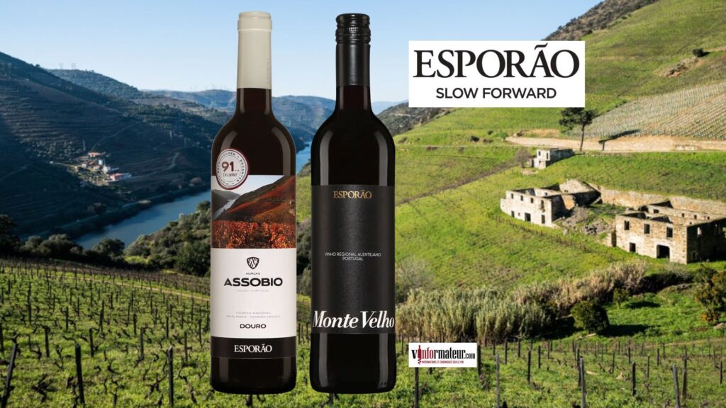 Deux vins du Portugal sous la barre des 20$ avec un très bon rapport qualité/prix!