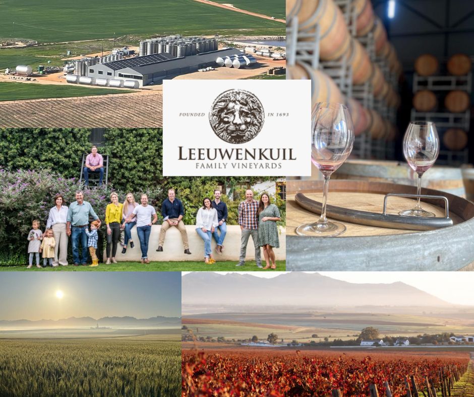 Leeuwenkuil Family Vineyards: Famille Dreyer, chai et vignobles