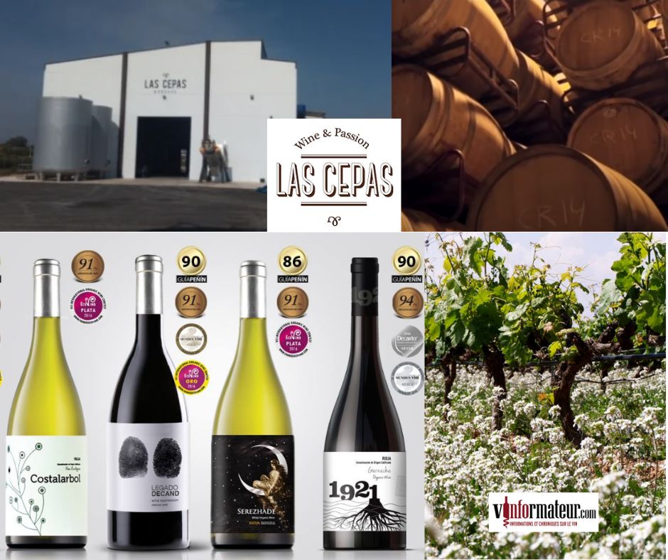 Bodega Las Cepas: chai, vignobles et vins.