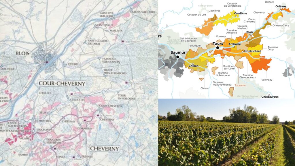 Carte viticole Val de Loire, Cheverny