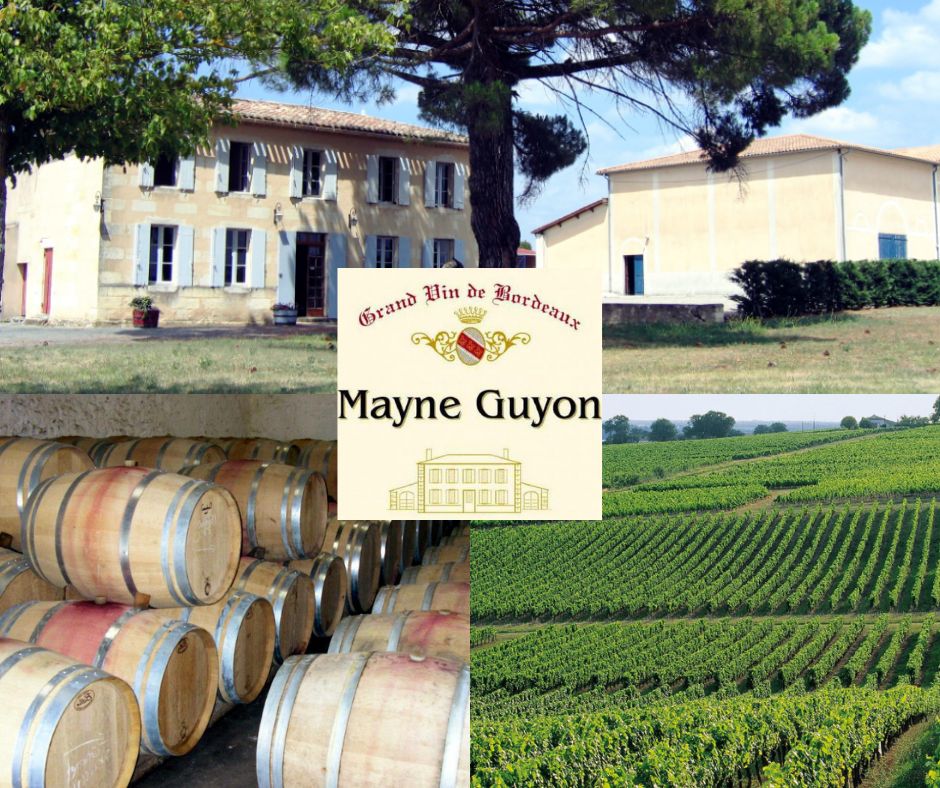 Château Mayne Guyon: chai et vignobles