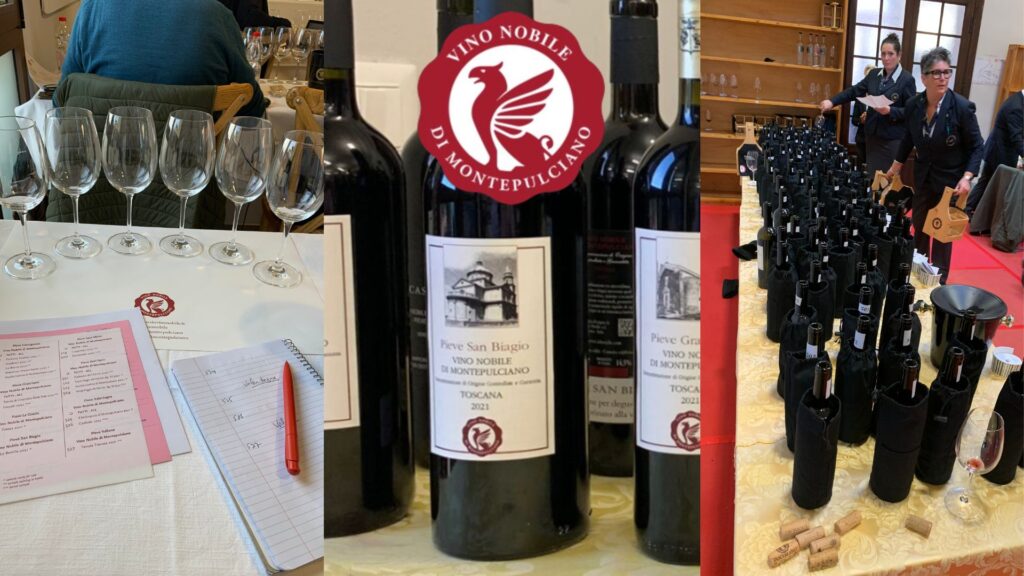 Dégustation comparative de vins provenant des 12 Pievi