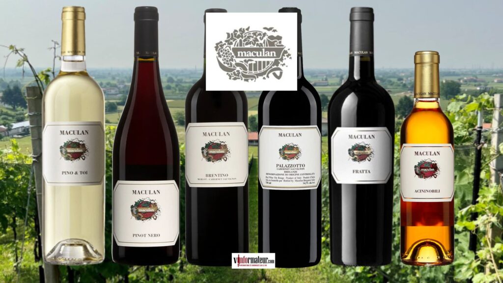 Dégustation des vins de Cantina Maculan - agence Montalvin