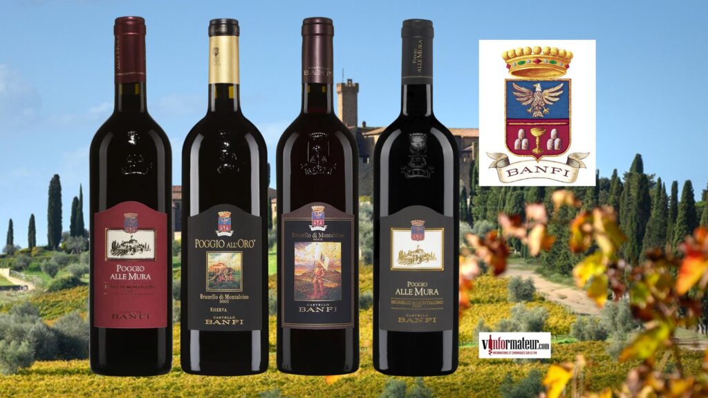 Dégustation vins Castello Banfi bouteilles
