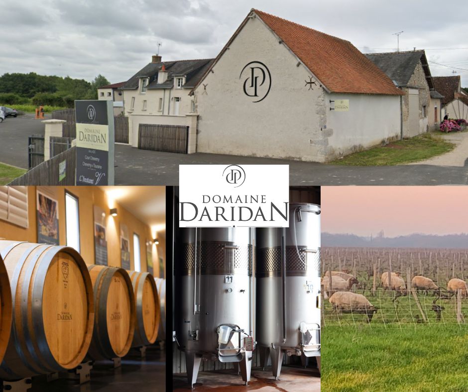 Domaine Daridan - chai et vignobles