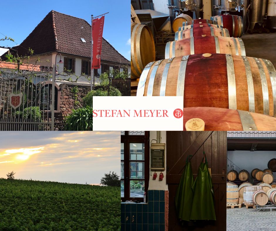 Weingut Stefan Meyer: chai et vignobles