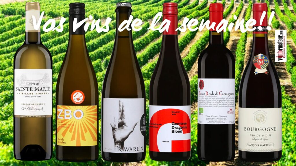 Recommandations des vins de la semaine bouteilles